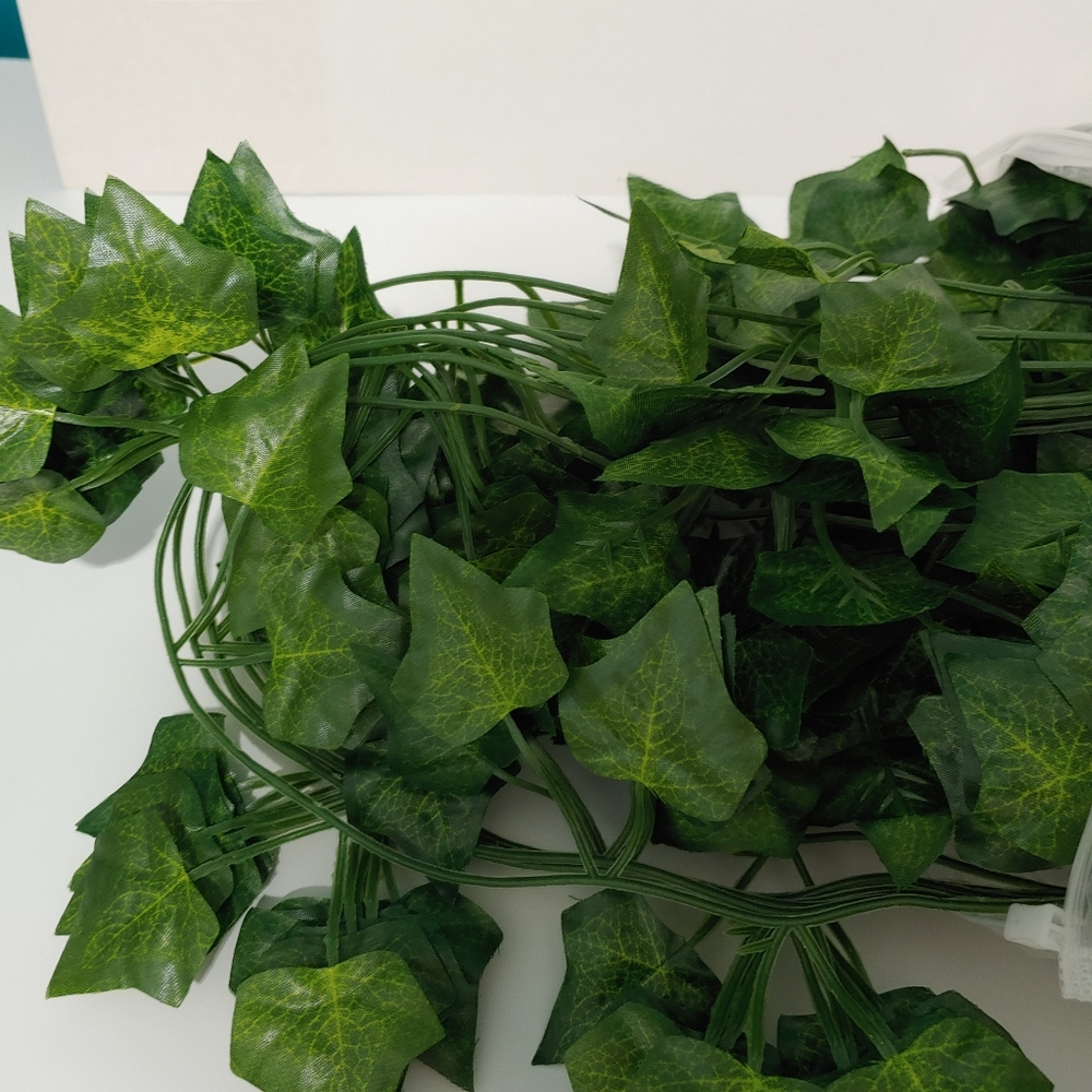 Misc Vines for Crafts